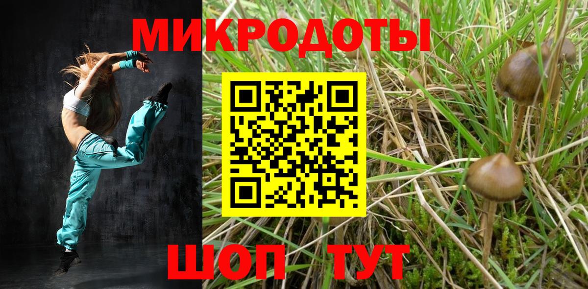 Моршанск  даркнет сайт  Вход с VPN  Псилоцибиновые грибы MAGIC MUSHROOMS 